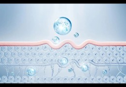 護膚品滲透和吸收是一回事嗎？