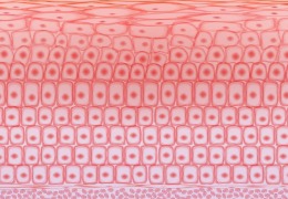 如何保護(hù)皮膚，才能使皮膚看起來健康？